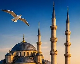 Coupoles et minarets d’une mosquée d’Istanbul dans la lumière dorée, survolés par une mouette